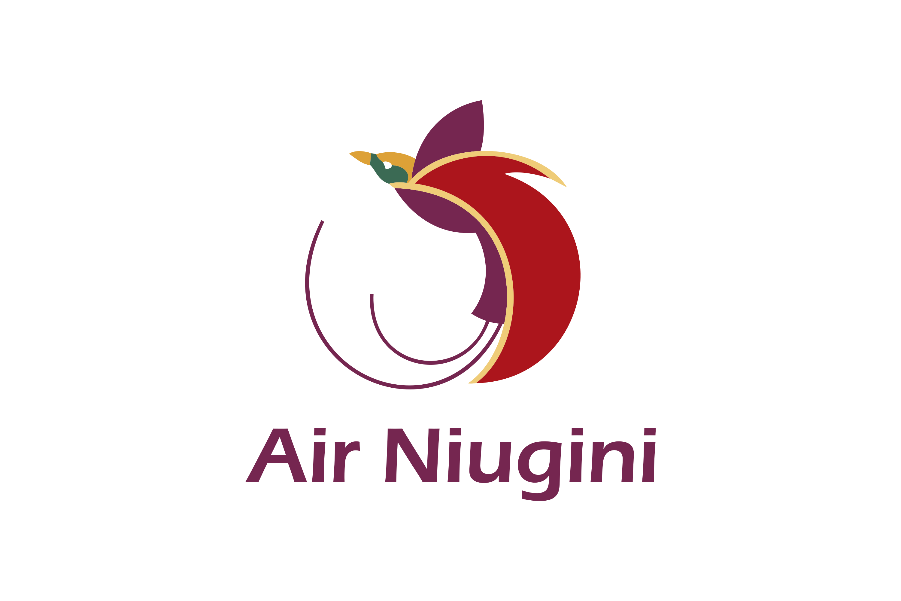Air Nuigini